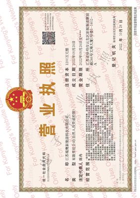 Business License